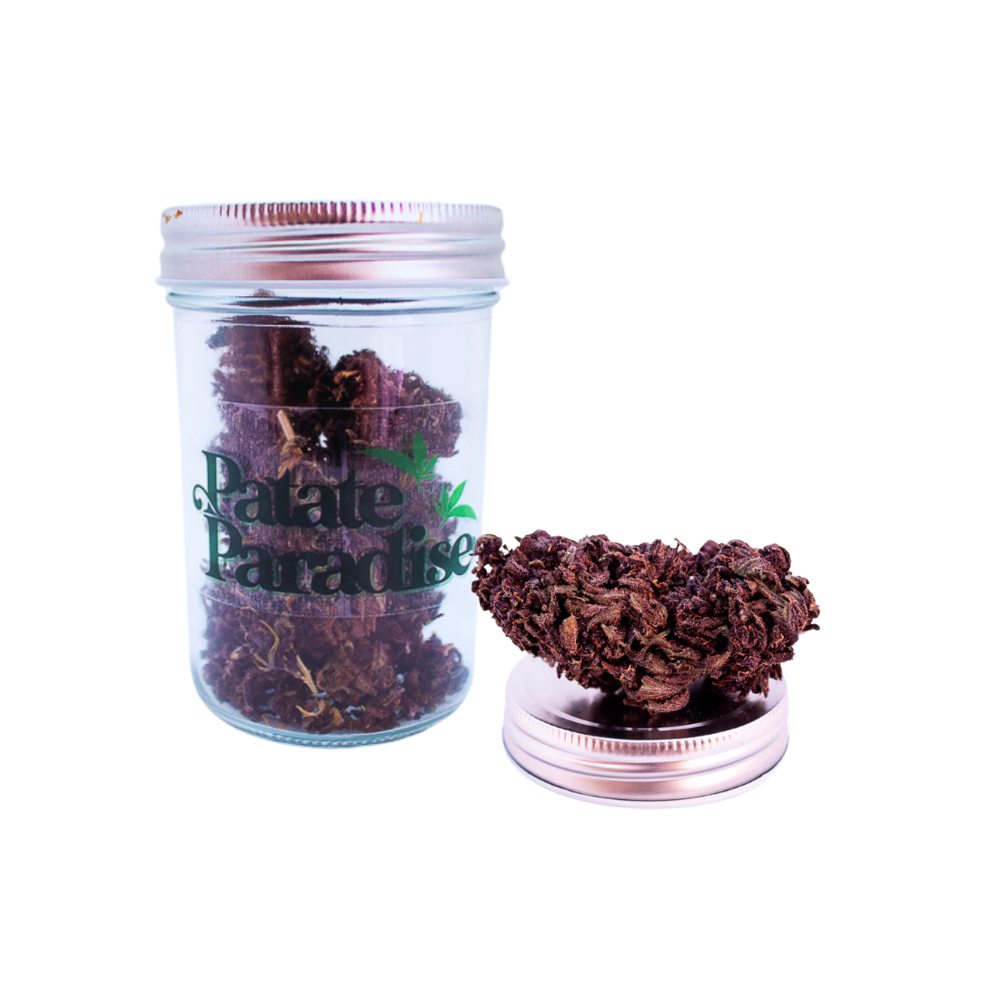 Flor Ornamental - Patate Paradise