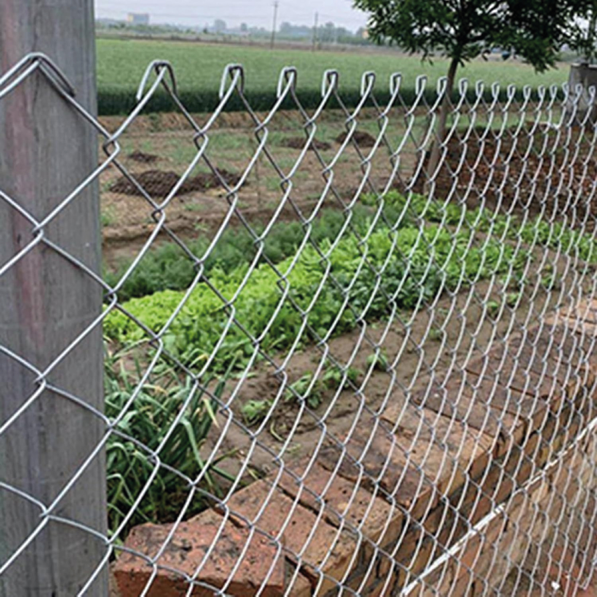 MALLA CERRAMIENTO 2M X20M (49KG)BP