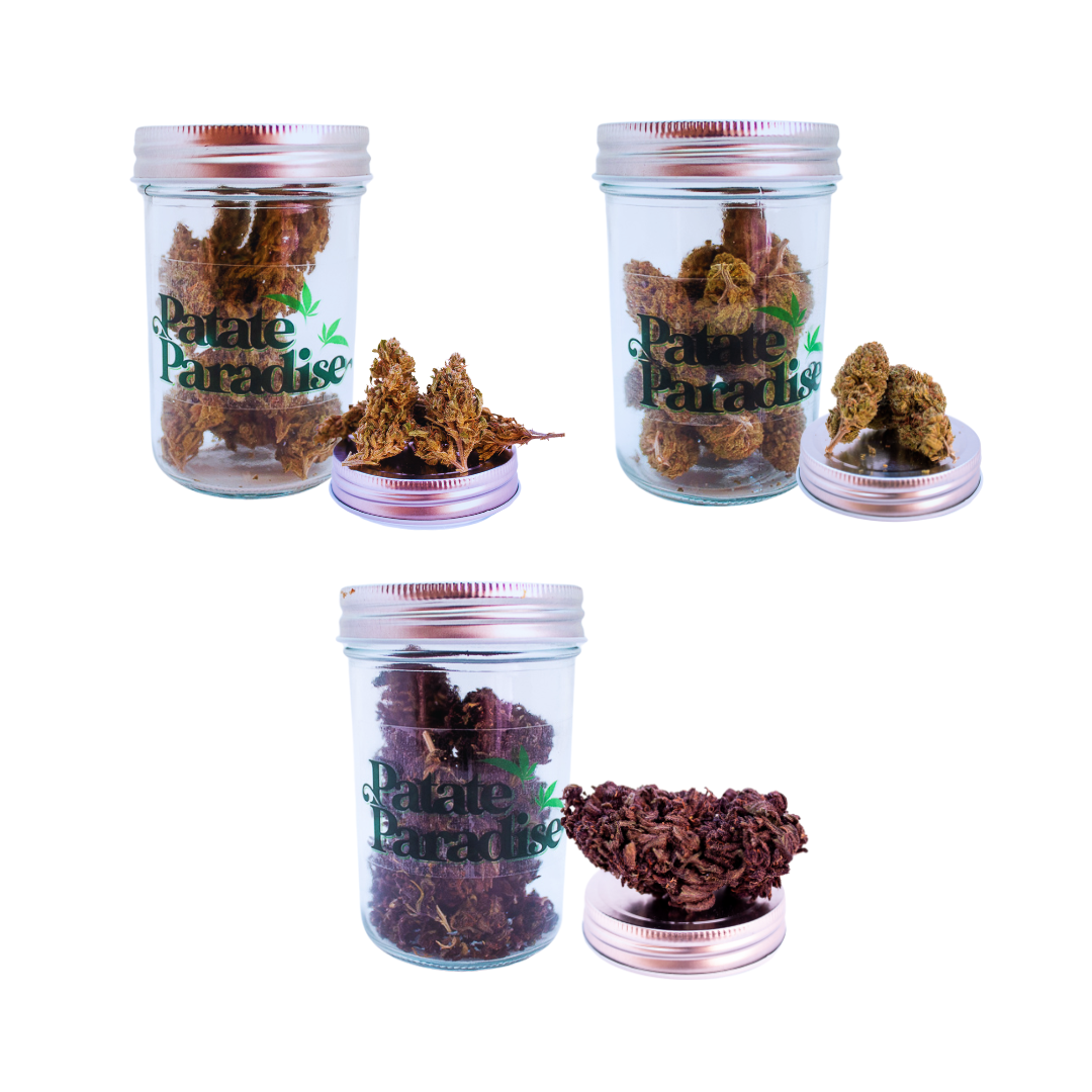 Flor Ornamental - Patate Paradise