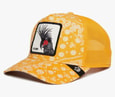 GOORIN BROS SPRAY PAINT ARCH
