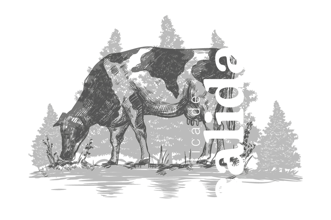 promo_section_1706557113