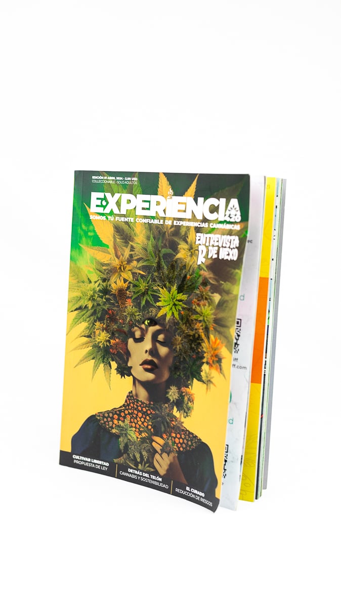 Revista Experiencia 420