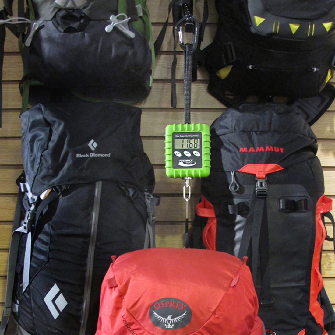 EXPEDITION SCALE