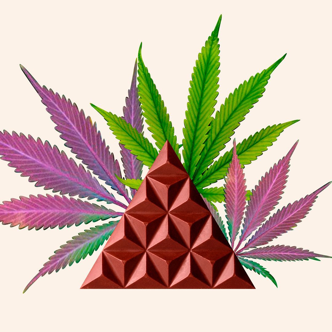 KAMM CBD - Chocolate CBD