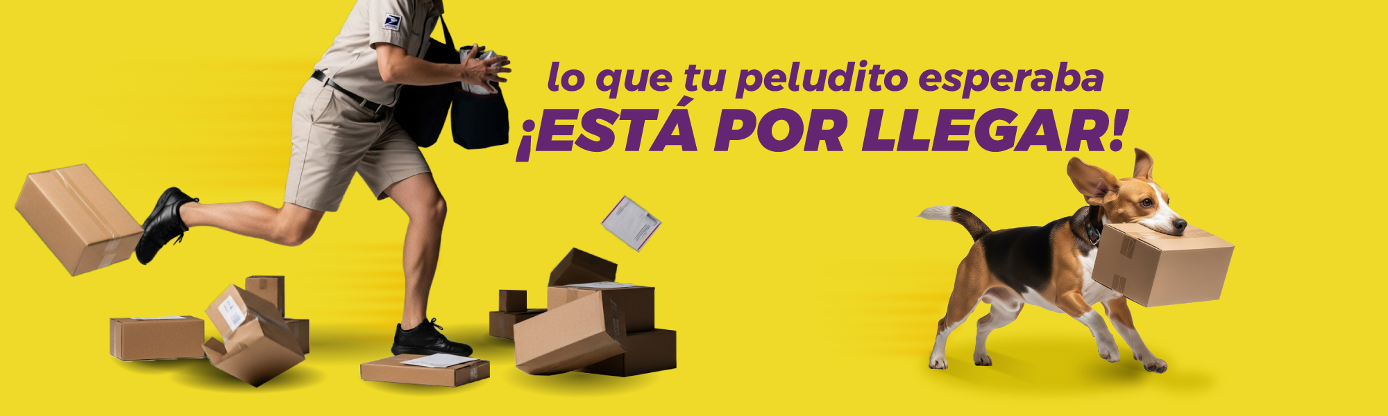 Seguimiento de envíos