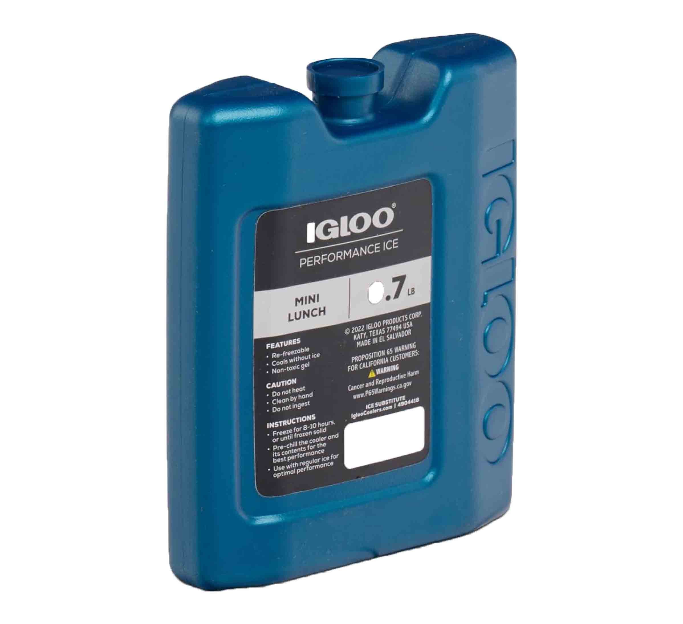 Igloo hielo artificial