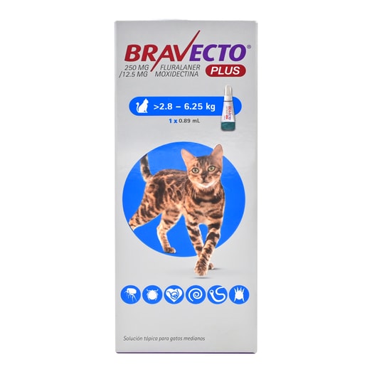 Bravecto Antiparasitario Plus 2.8-6.25Kg Gato *1