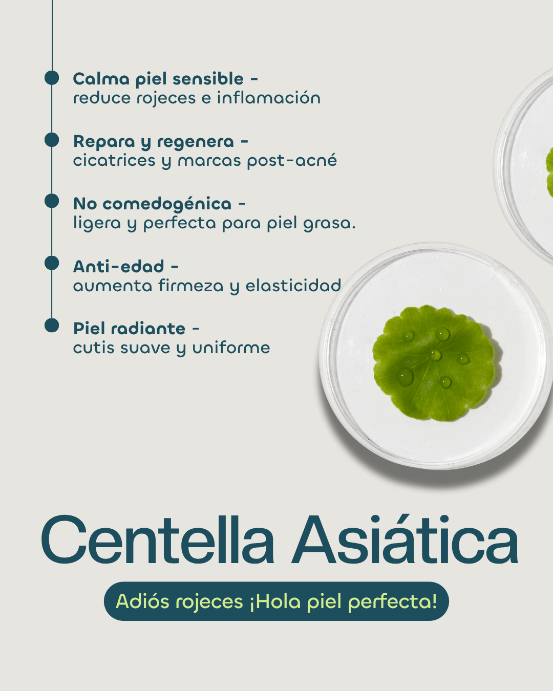 Centella Asiática
