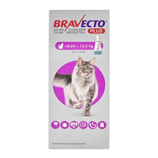 Bravecto Antiparasitario Plus 6.25-12.5Kg Gato *1