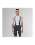Xterra Men's Gravel Shorts