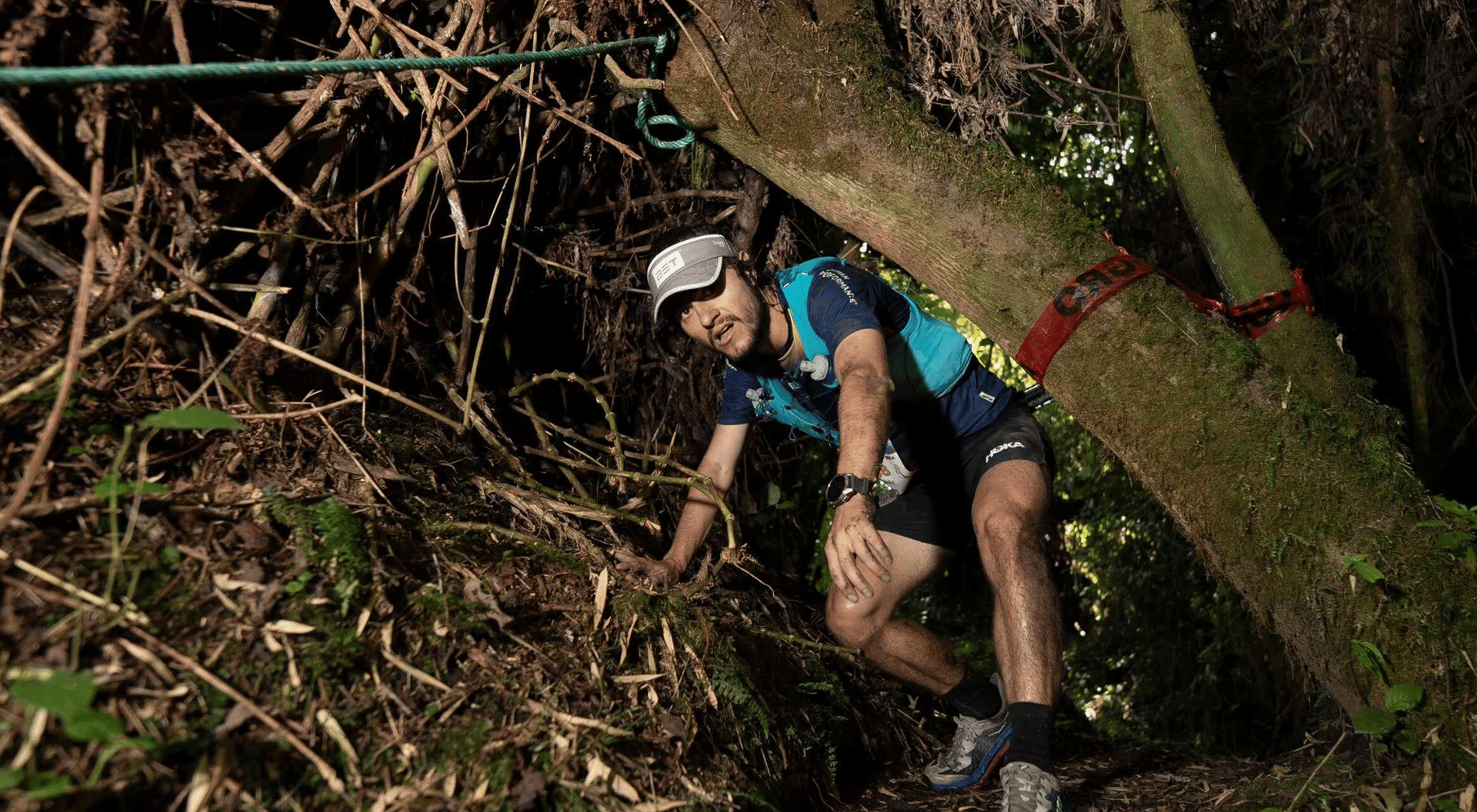 Hero Image 2