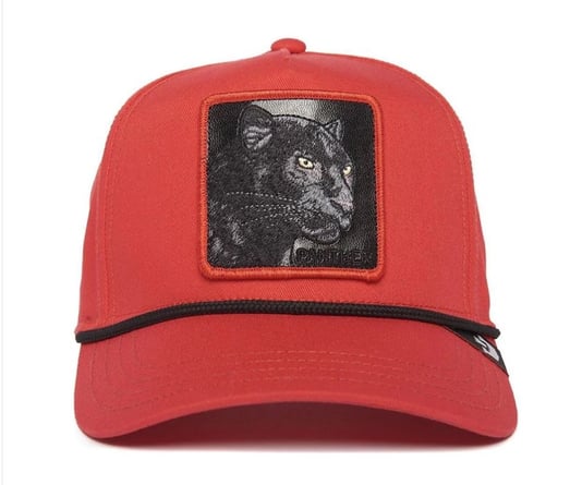 GOORIN BROS THE PANTHER 100