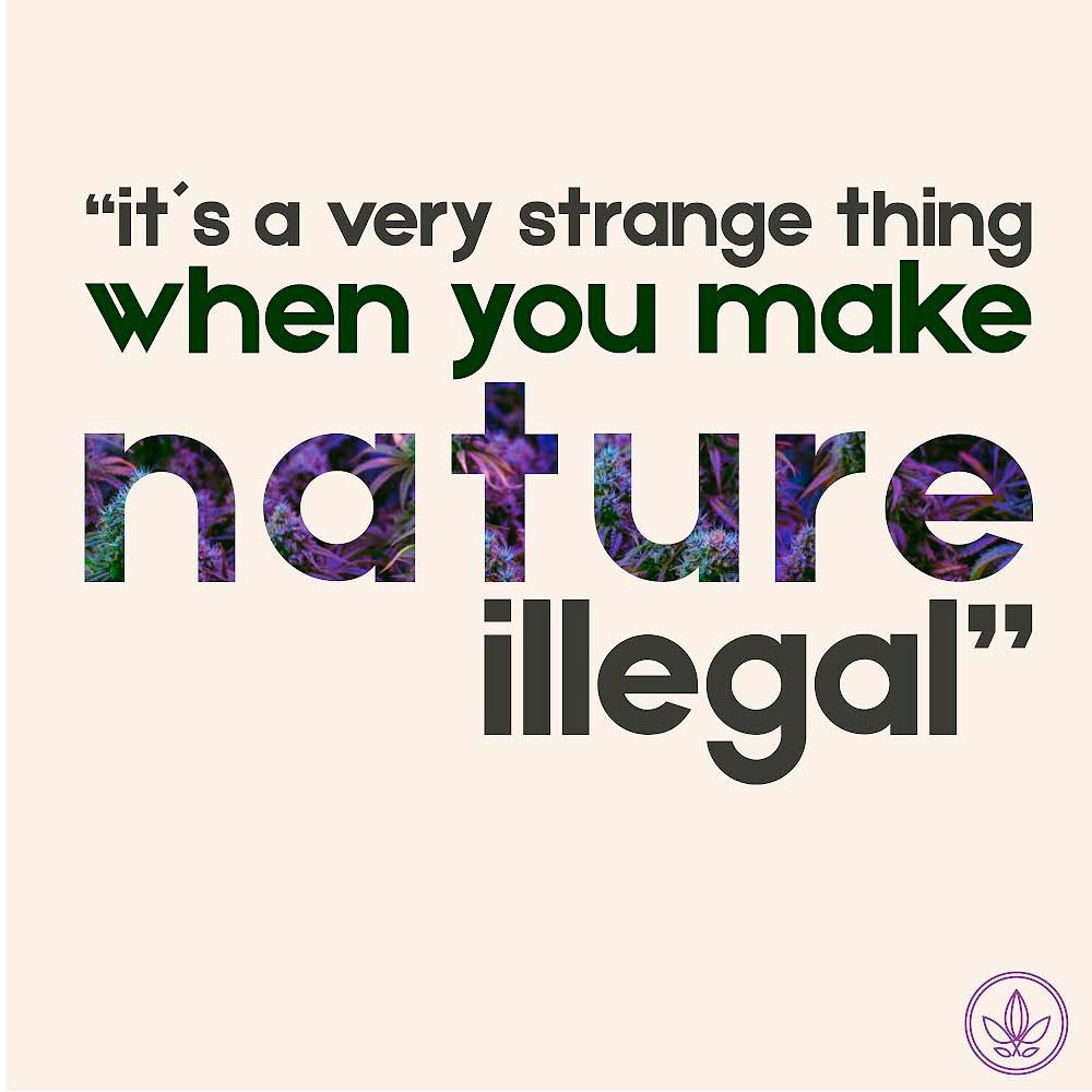 KAMM CBD - Chocolate CBD