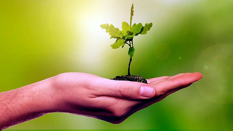 ¿Tu proyecto va en pro de los objetivos de desarrollo sostenible?