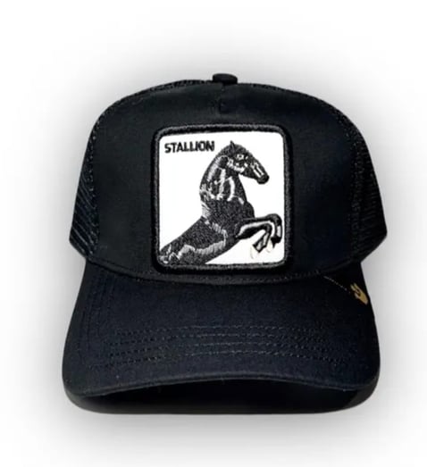 GOORIN BROS STALLION BLACK