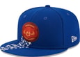 5950 Chicago Cubs Meteor