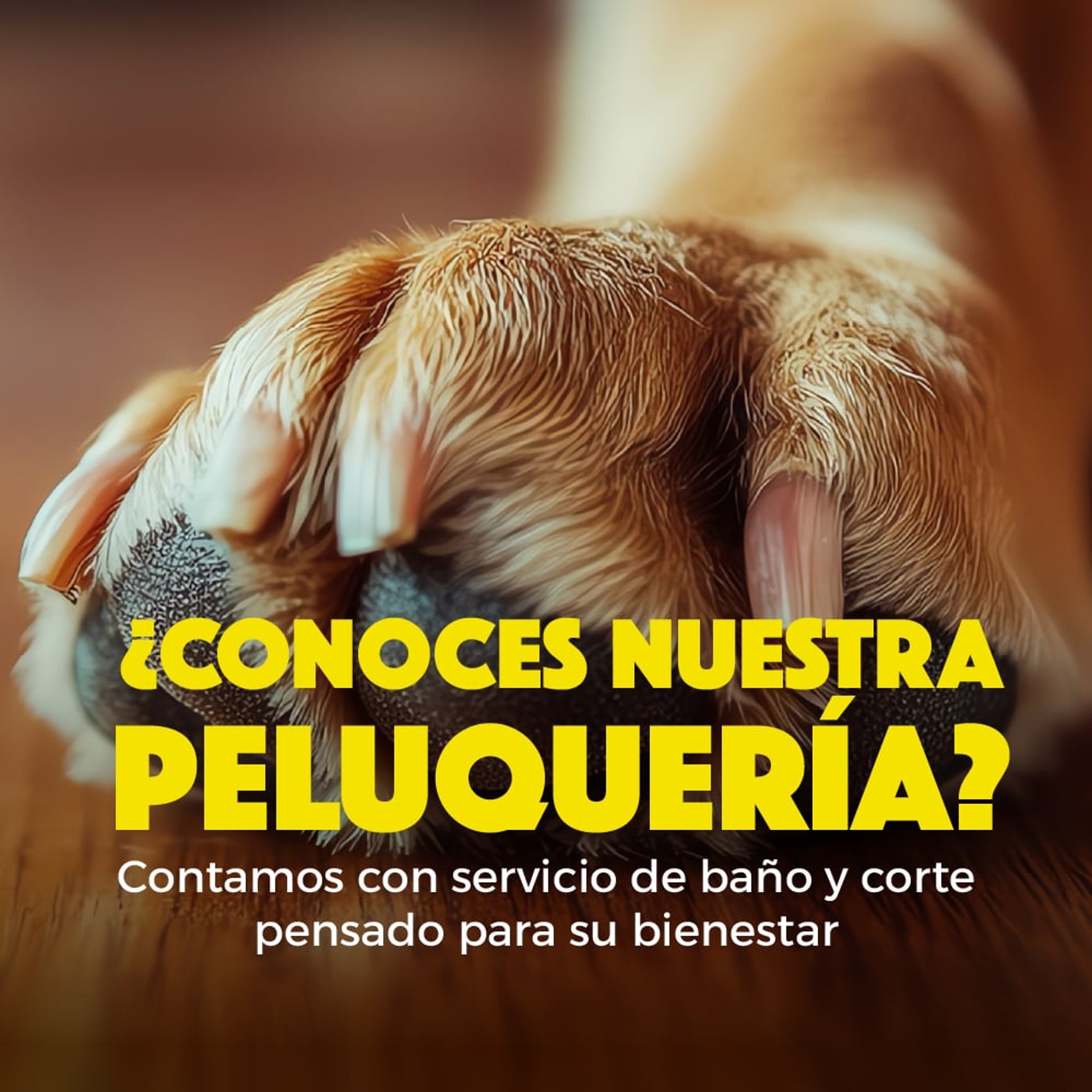 Peluqueria