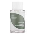 Isntree Powder Wash Calming Mugwort 15 g