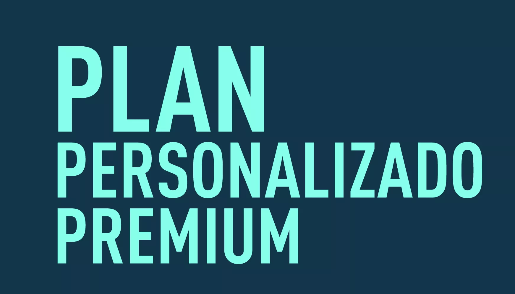 PLAN PERSONALIZADO PREMIUM