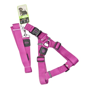 Doco Arnes/Correa Perro Xl Morado *1