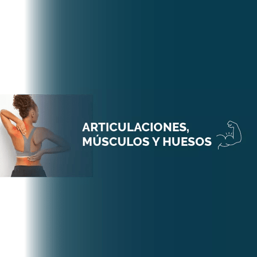Articulaciones, Músculos Y Huesos