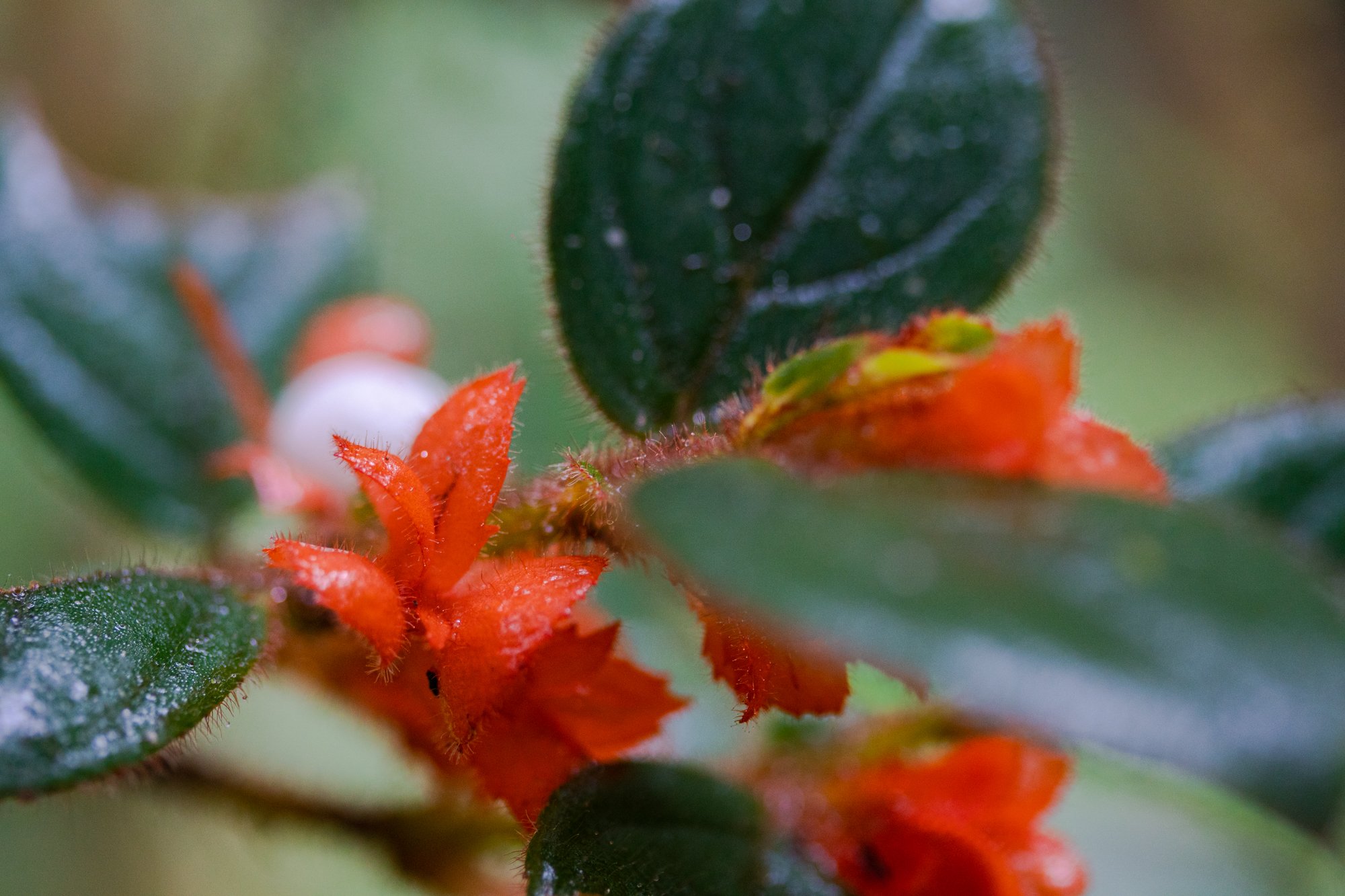 promo_section_slider_1741209795