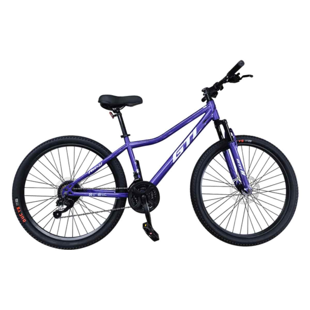 GTI Bicicleta Roxy Aro 26¨
