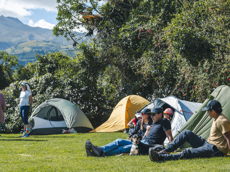 promo_section_slider_1721946895