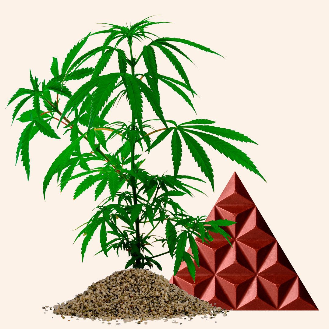 KAMM CBD - Chocolate CBD