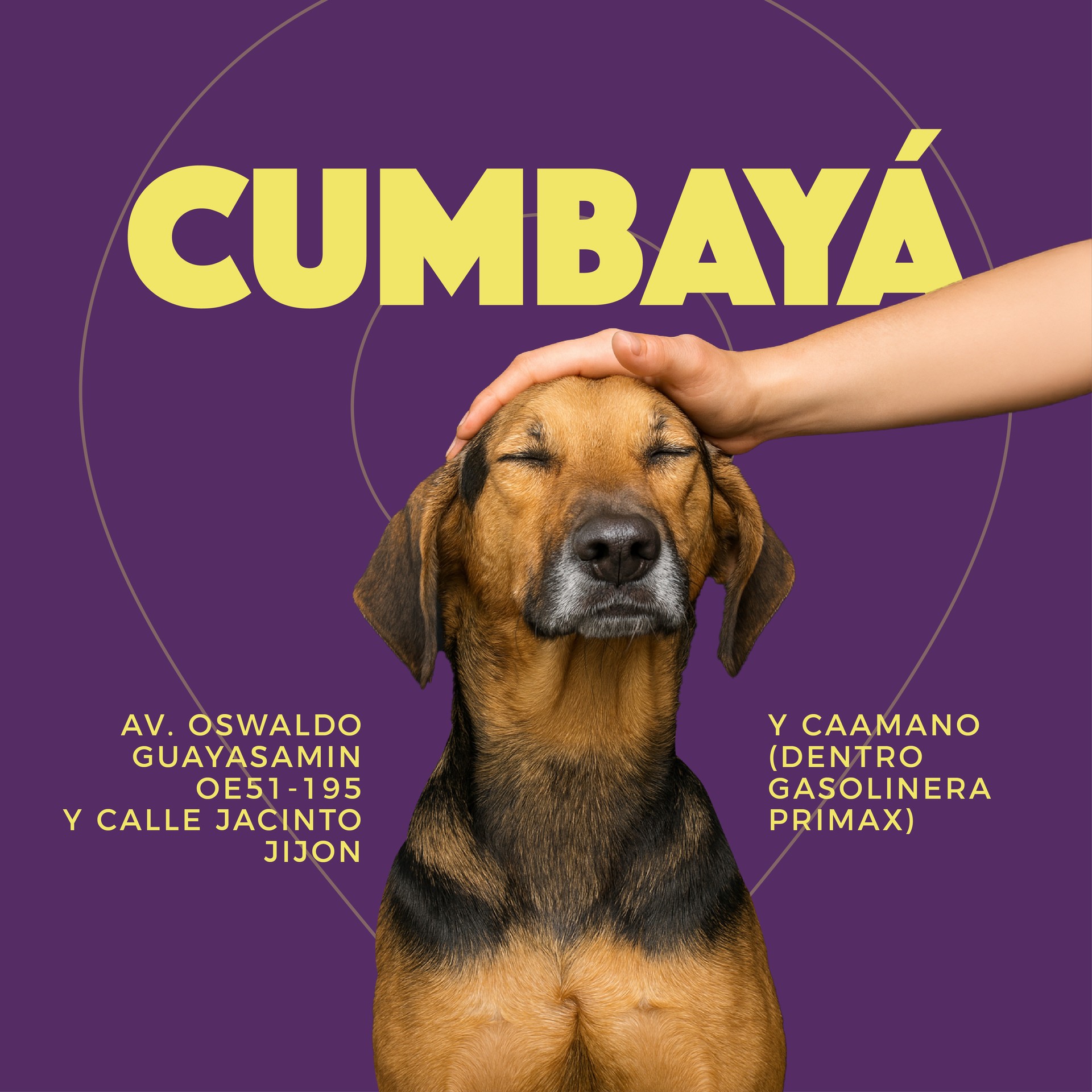 CUMBAYA