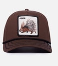 GOORIN BROS PURCUPINE 100