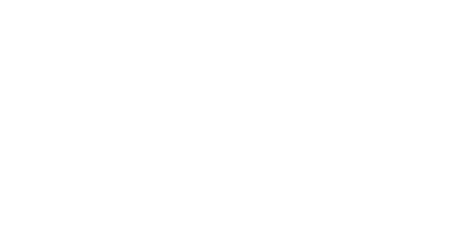 alto velo x bet