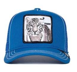 GOORIN BROS STRIPE EARNER TIGER AZUL KIDS