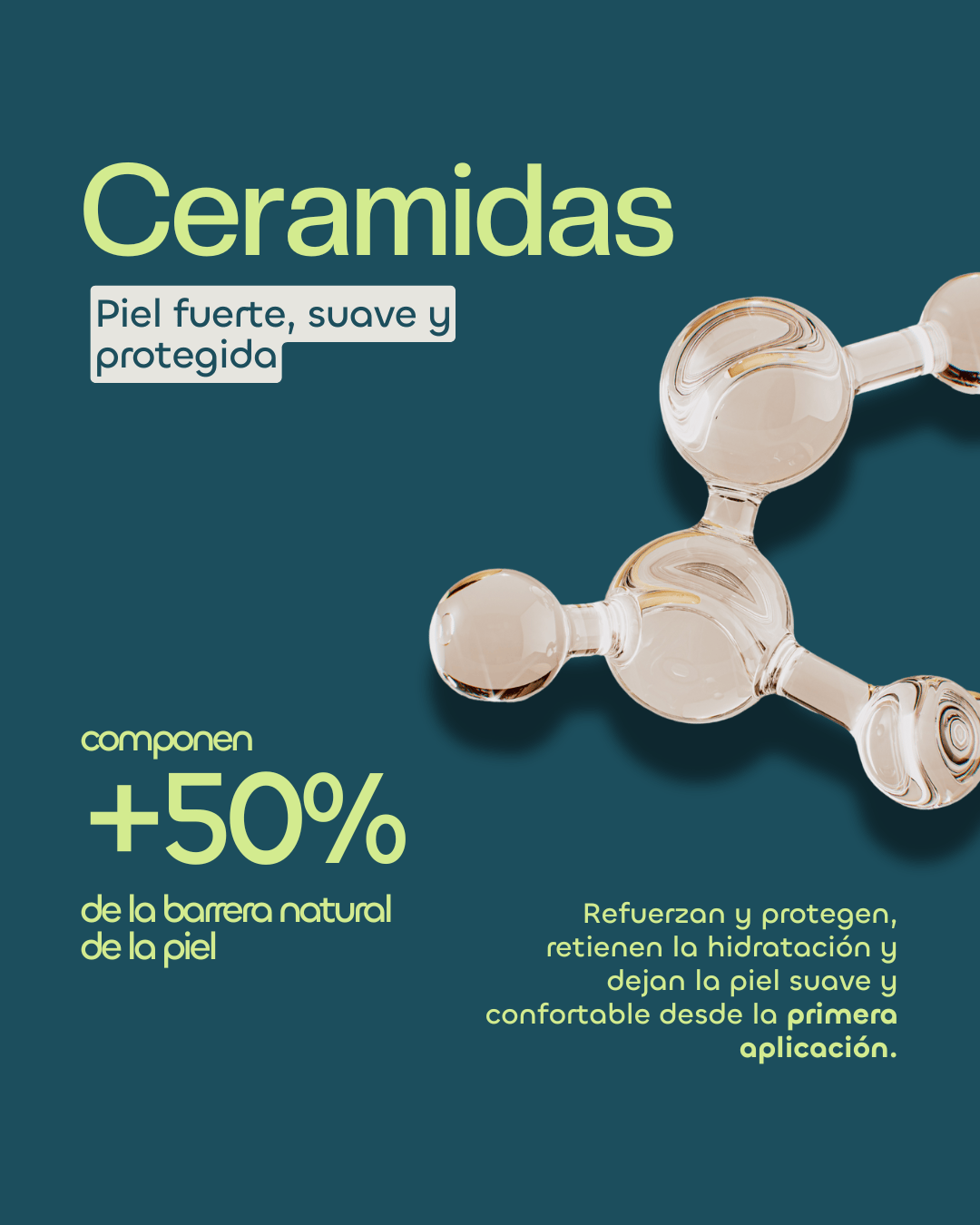 Ceramidas