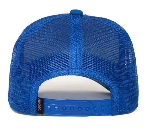 GOORIN BROS STRIPE EARNER TIGER AZUL KIDS