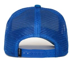 GOORIN BROS STRIPE EARNER TIGER AZUL KIDS