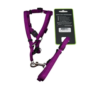 Doco Arnes/Correa Perro Xs Morado *1