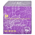 Mizon Crema Facial Collagen Power Lifting *75Ml