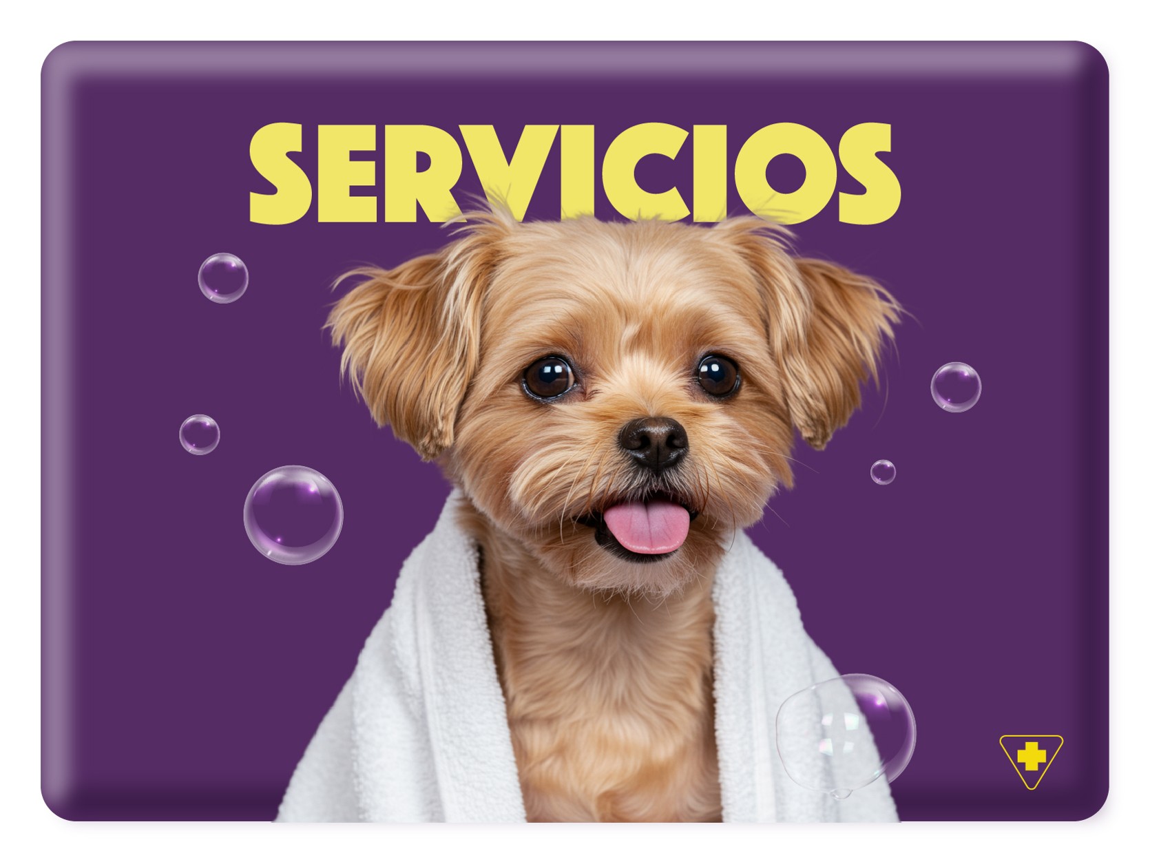 servicios