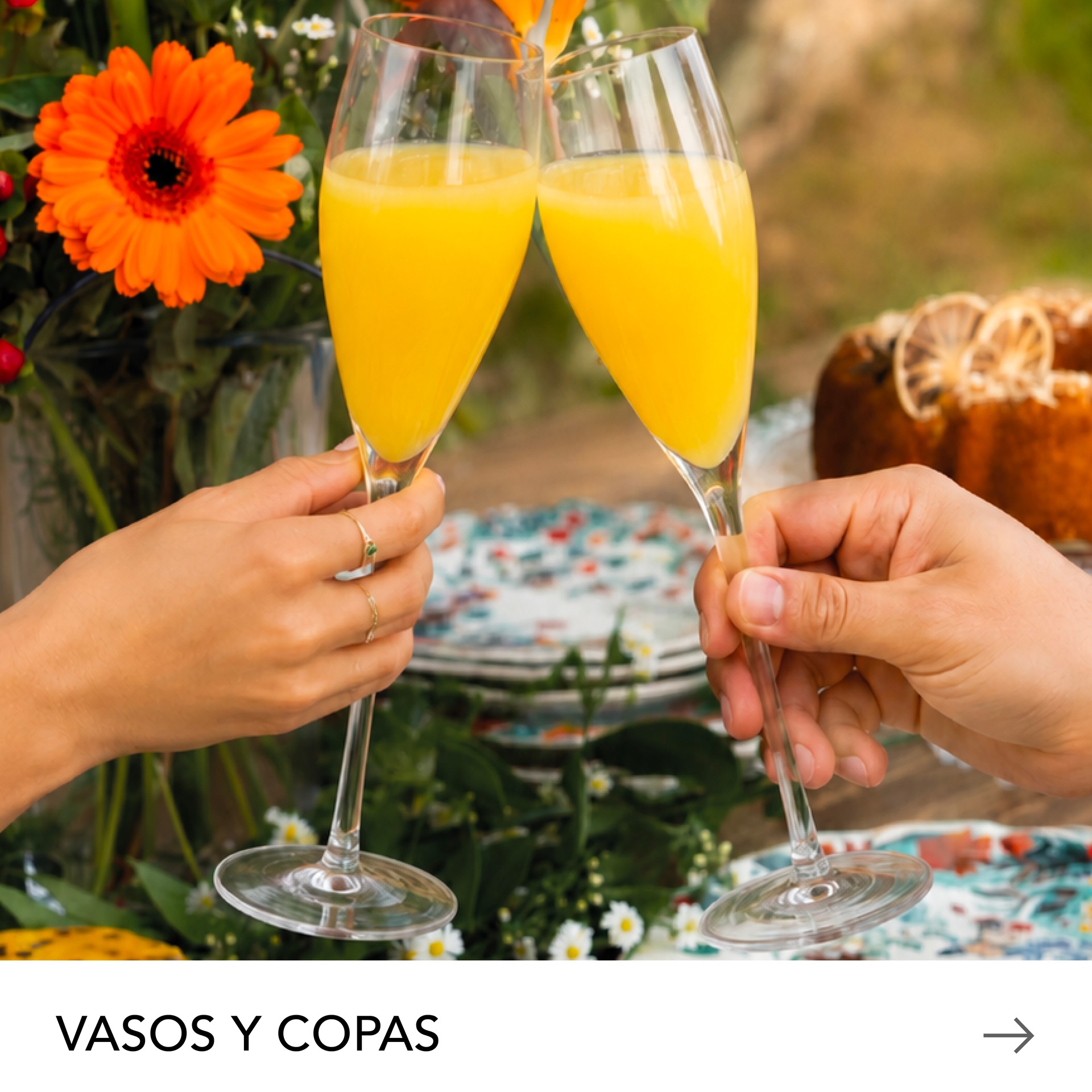 VASOS Y COPAS