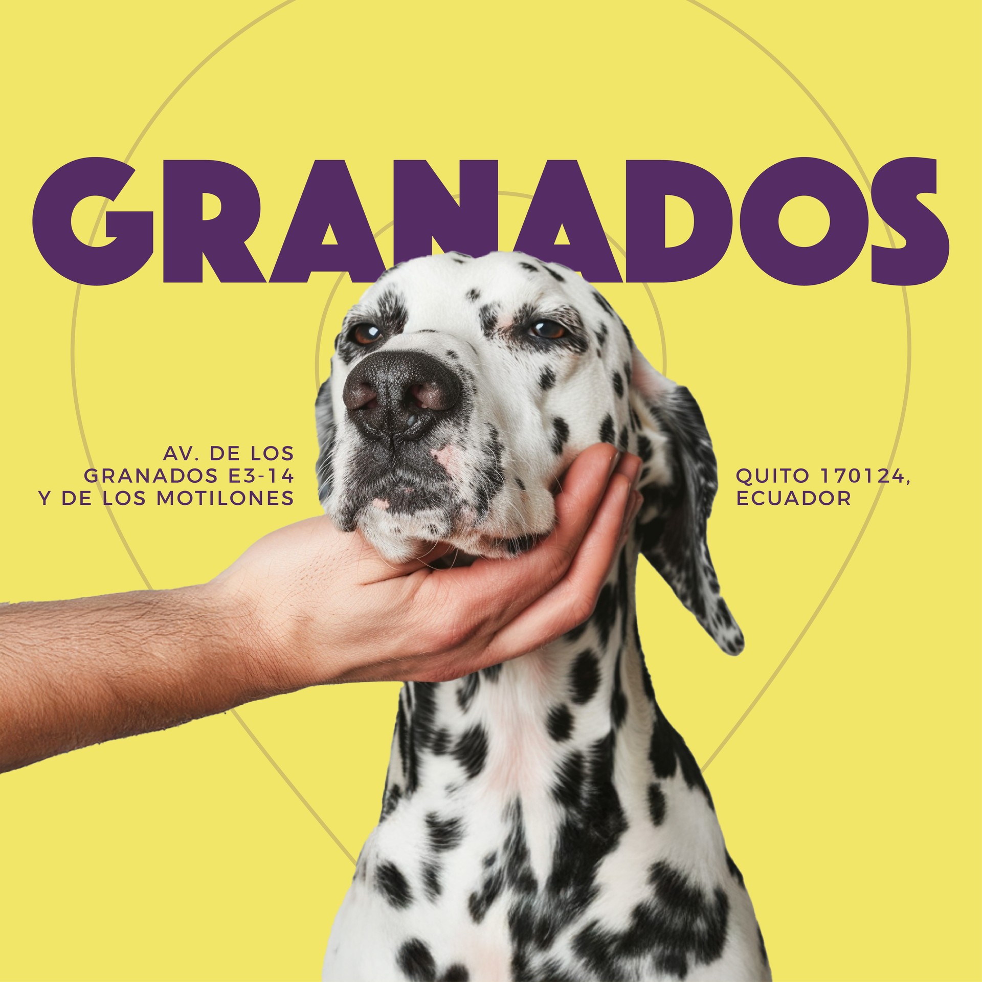 GRANADOS