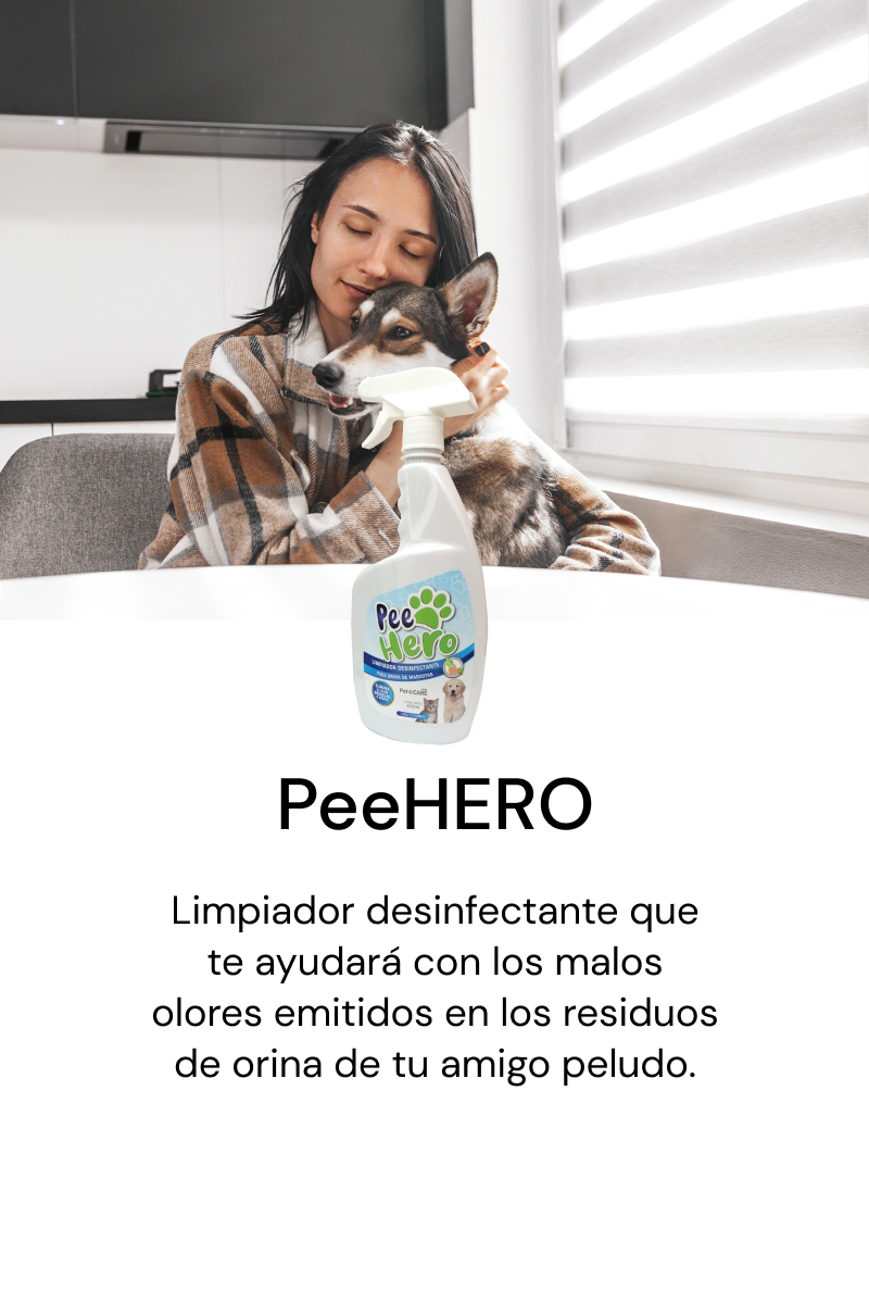 hero-desk