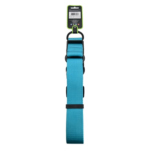 Doco Collar Perro Xl Turquesa *1