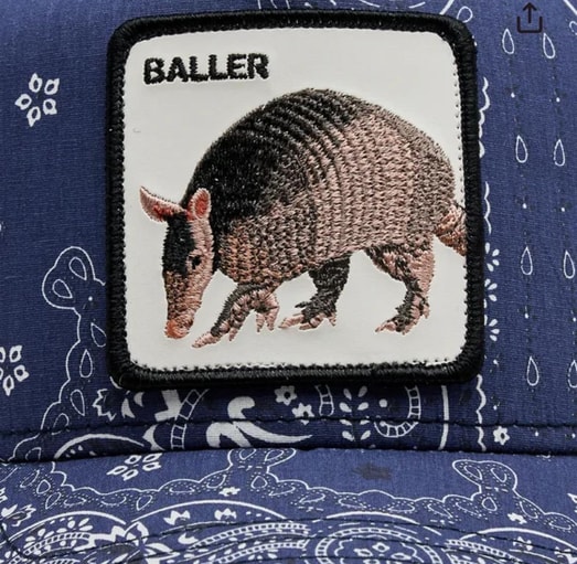 GOORIN BROS BALLER