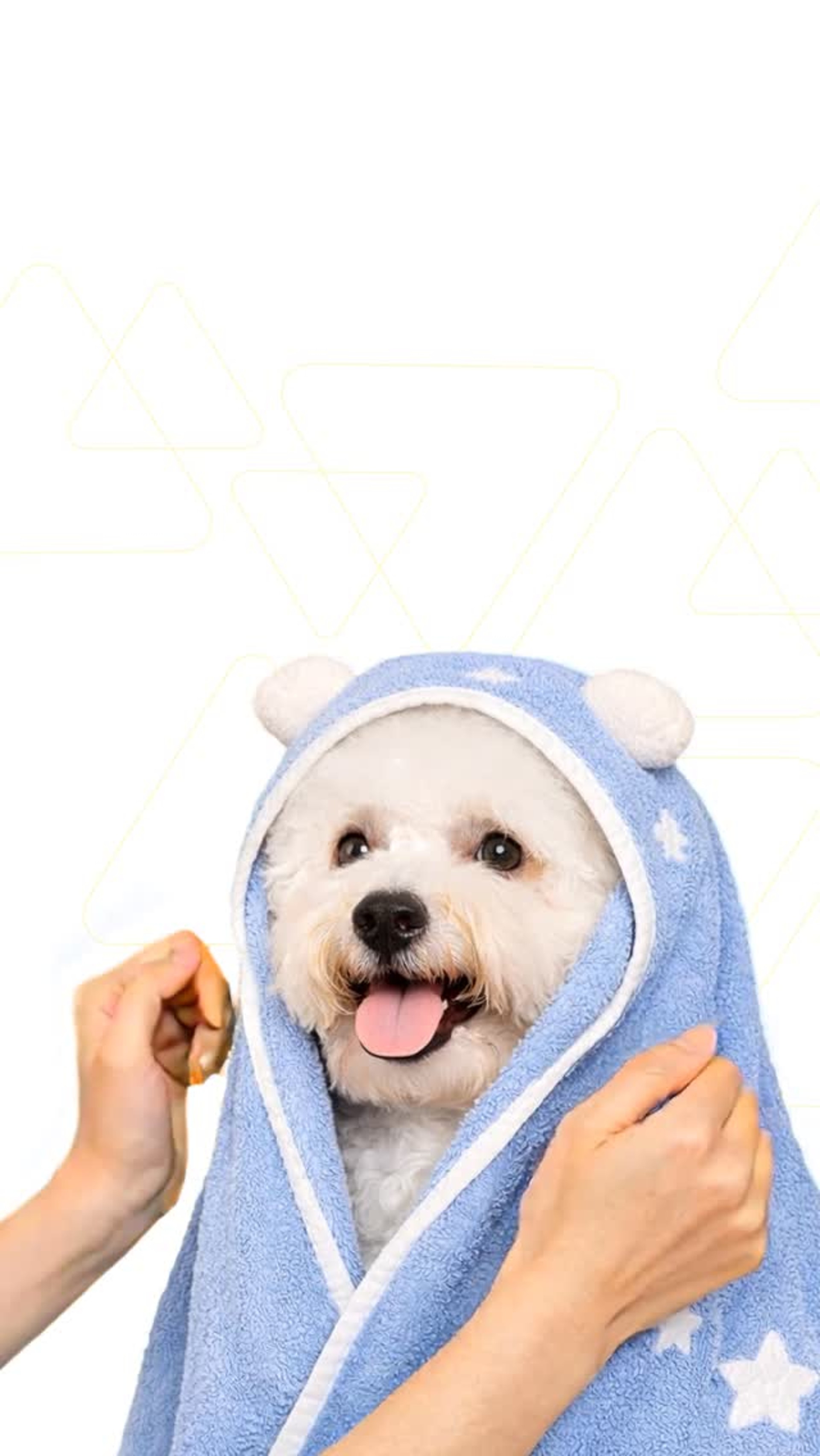Video Mascotas
