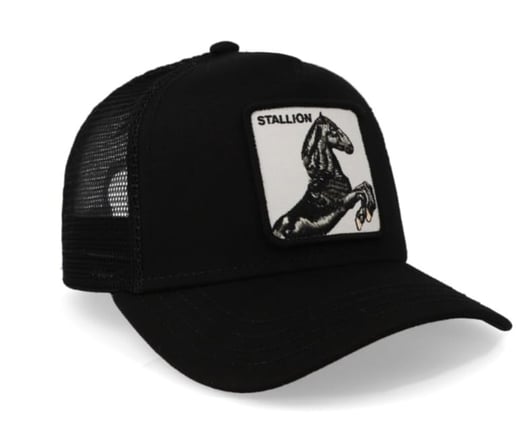 GOORIN BROS STALLION BLACK