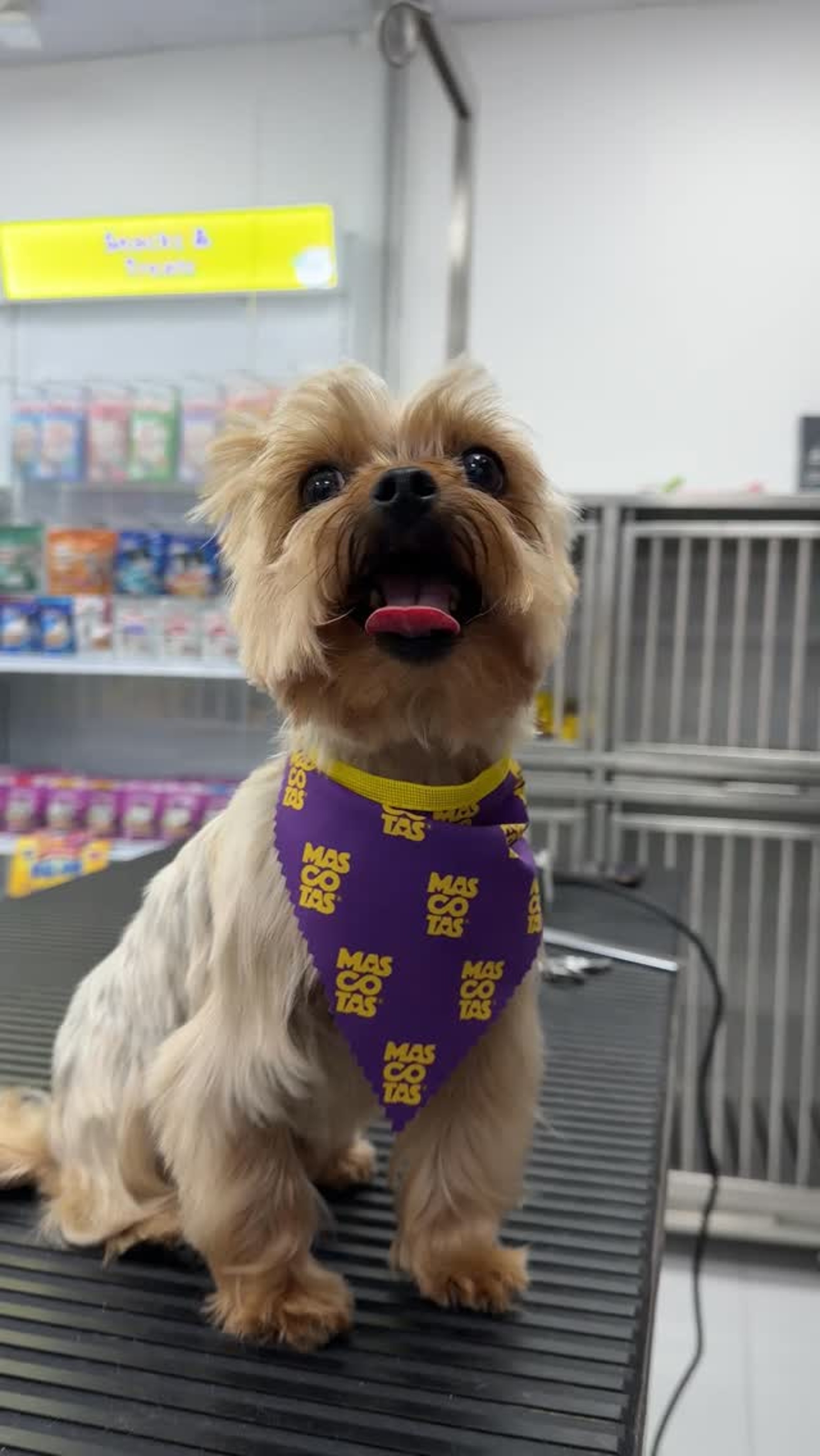 Peluqueria