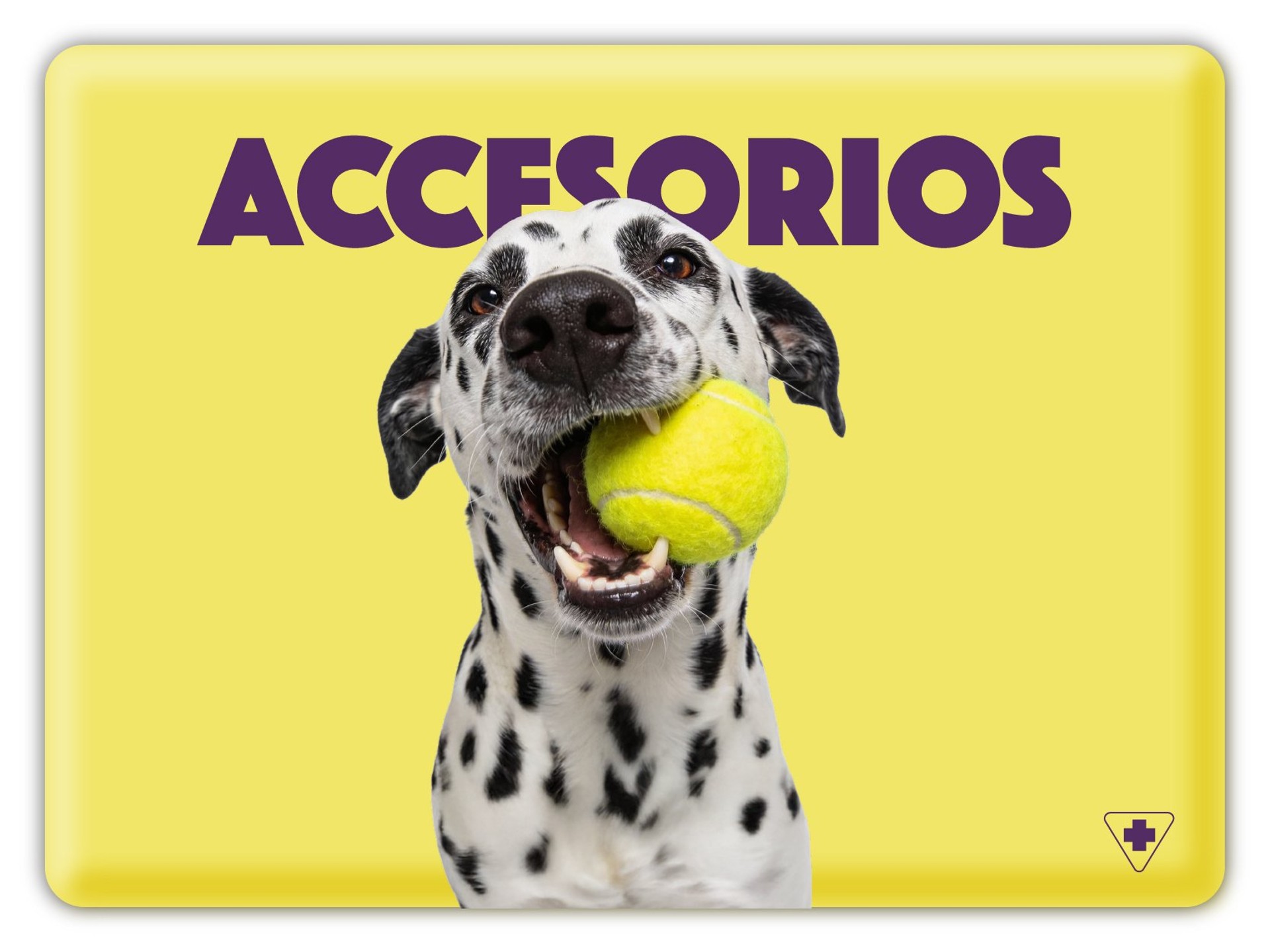 Accesorios