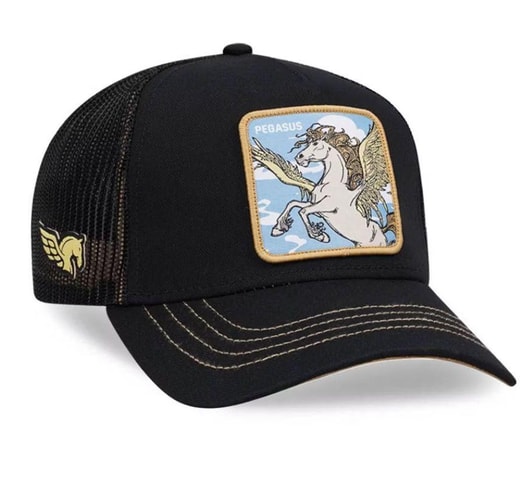 Capslab Pegasus 1