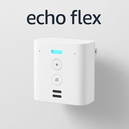 Echo Flex | Alexa